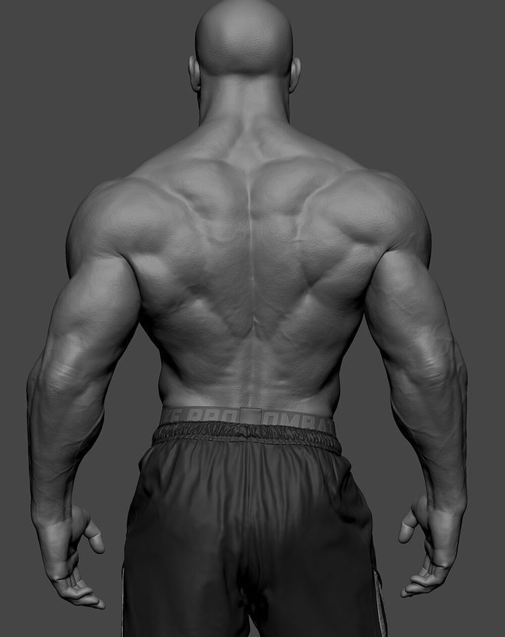 عضلات ذوزنقه ای