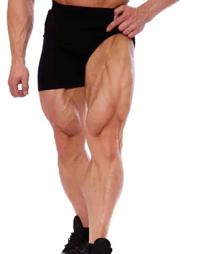 عضلات ران
