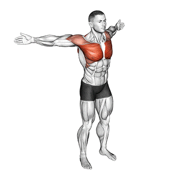 Barbell Military Press 9 Back Slaps Wrap Around Stretch