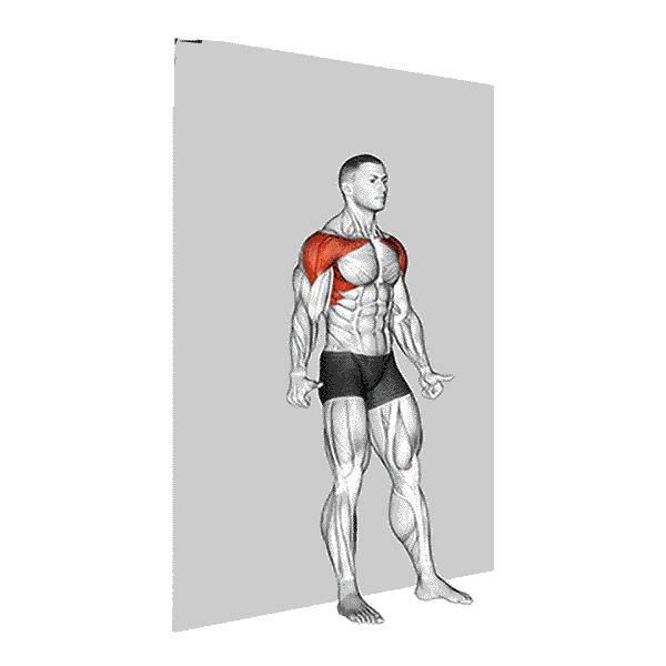 Back To Wall Alternating Shoulder Flexion