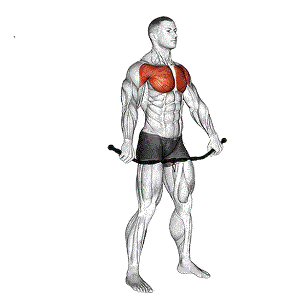 Chest and Front Shoulder Stretch