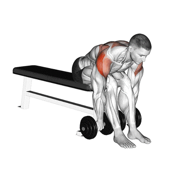 Dumbbell Seated Bent Over Rear Delt Row