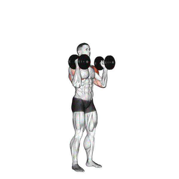 Dumbbell Standing Palms In Press