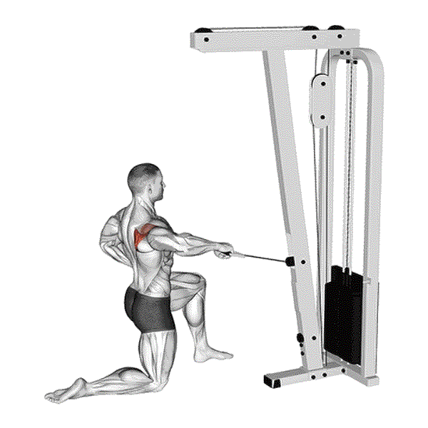 Smith Machine Shoulder Press 12 Half Kneeling Cable External Rotation