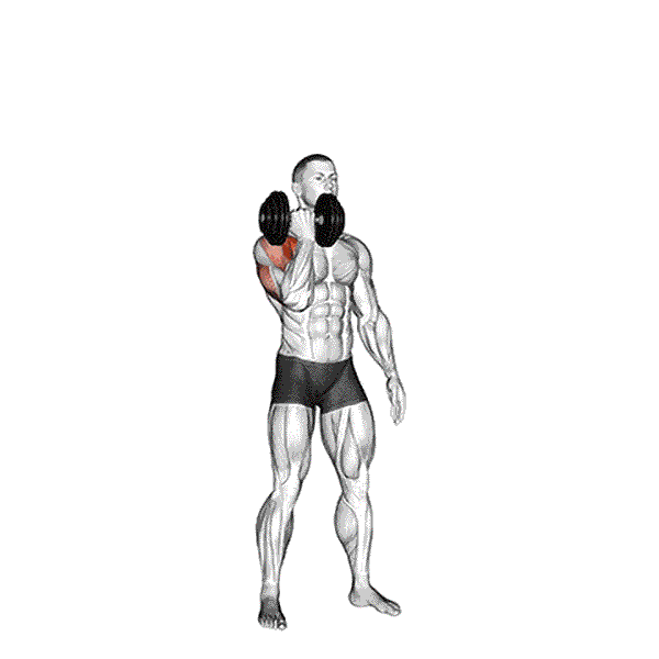 Seated Dumbbell Shoulder Press 8 Single Arm Arnold Press