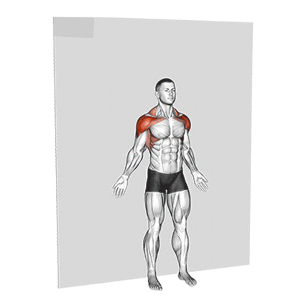 Cable Lateral Raise 11 Wall Supported Arm Raises