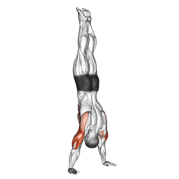 Handstand Push Up