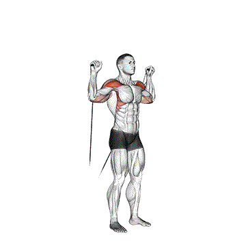 Dumbbell 4 Way Lateral Raise 10 Cable Shoulder Press