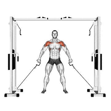 Double Cable Front Raise
