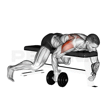 Dumbbell Lying One-Arm Rear Lateral Raise