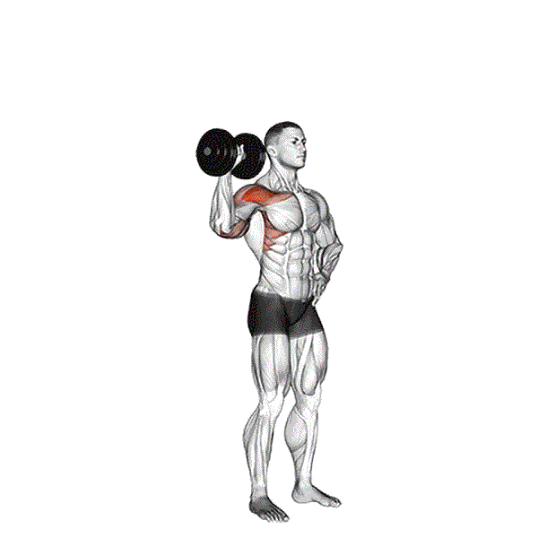 Dumbbell One Arm Shoulder Press
