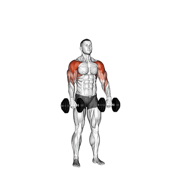 Standing Dumbbell Lateral Raise 12 Dumbbell Cuban Press