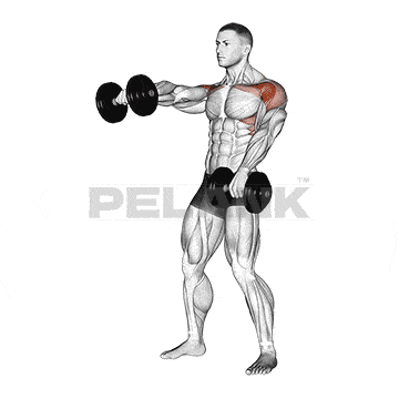 Standing Dumbbell Shoulder Press 16 Alternating Dumbbell Front Raise