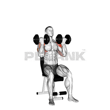Seated Dumbbell Arnold Press