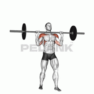 Barbell Military Press