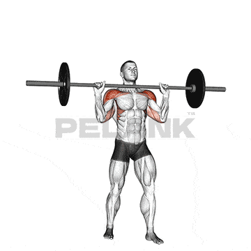 Barbell Military Press