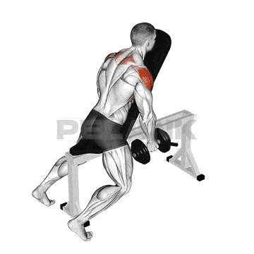 Dumbbell Chest Supported Lateral Raises