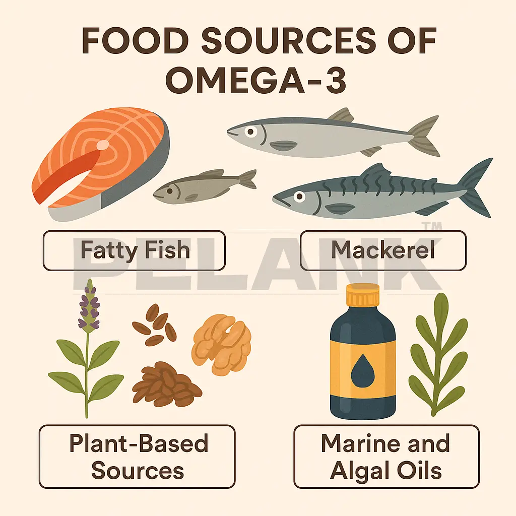 Omega-3 5 Food Sources of Omega-3