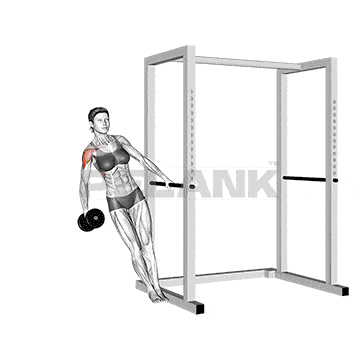 Leaning Single Arm Dumbbell Lateral Raise