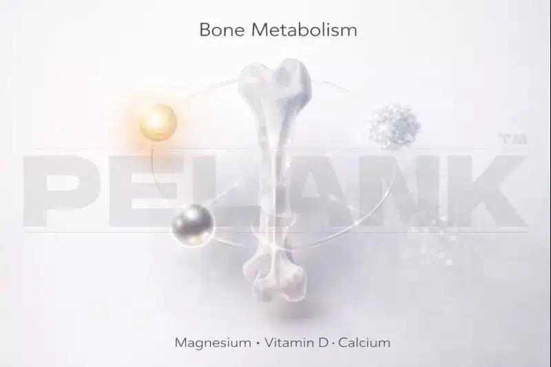 Magnesium and Vitamin D and Calcium
