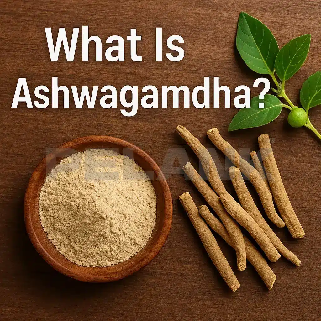 What Is Ashwagandha?
