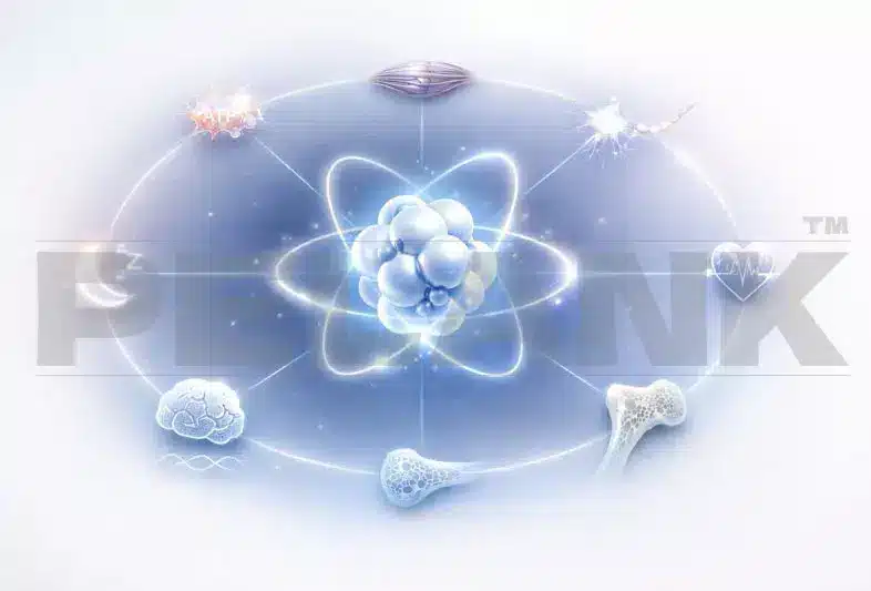 What does magnesium do in the body?