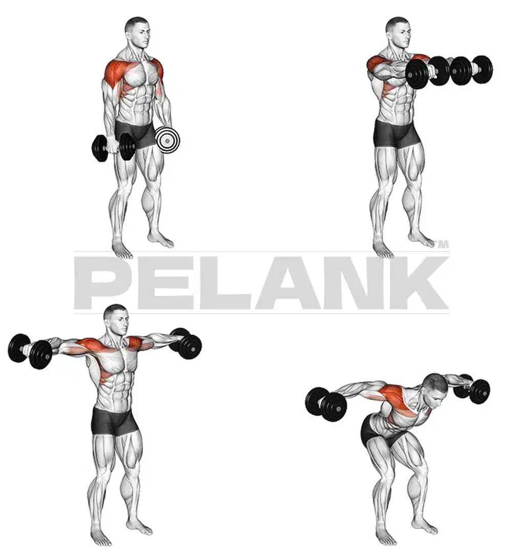 Dumbbell 4 Way Lateral Raise
