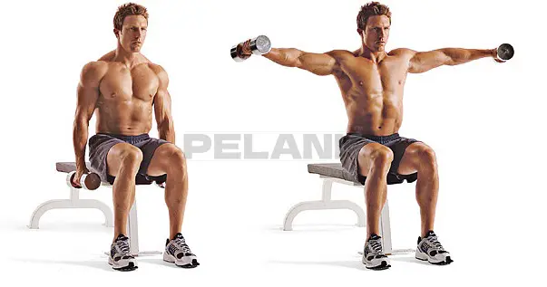 Seated Dumbbell Lateral Raise 1 Seated Dumbbell Lateral Raise