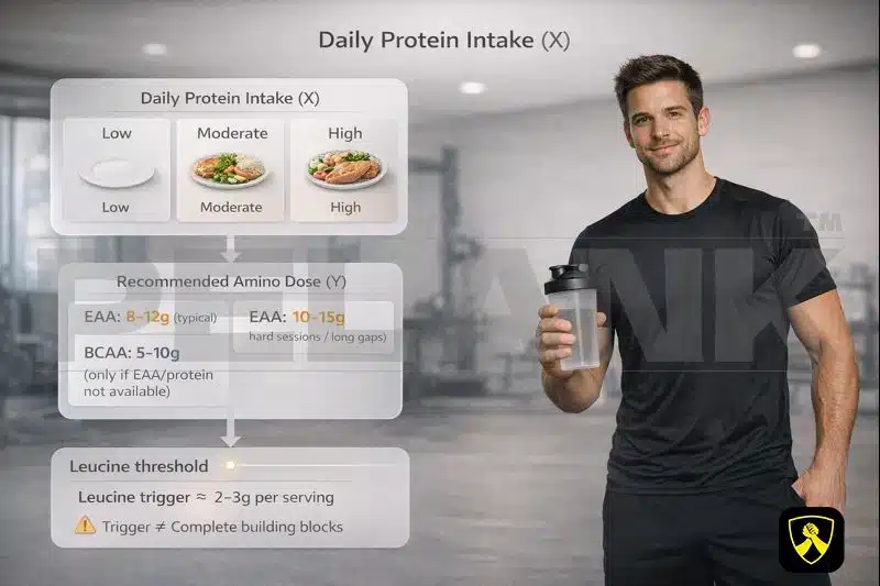 Daily Protein Intake