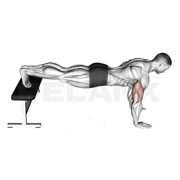 Standing Dumbbell Lateral Raise 11 Decline Push Up
