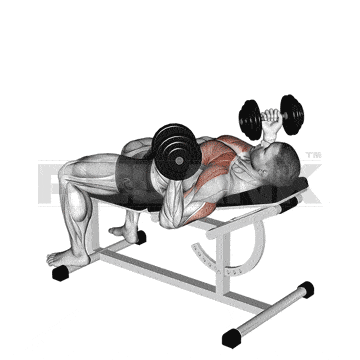 Arnold Press 6 Dumbbell Reverse Grip 30 Degrees Incline Bench Press