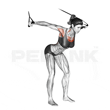Seated Dumbbell Lateral Raise 8 High Chest Fly With Resistance Band