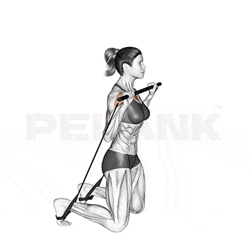 Arnold Press 7 Kneeling Incline Press with Gymstick