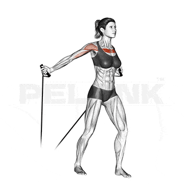 Cobra Push-Up 19 فلای بالا سینه با کش مقاومتی (از پایین به بالا)