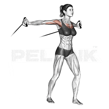 Cable Lateral Raise 10 Middle Chest fly With Resistance Band