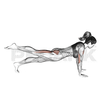 Lever Shoulder Press 10 One Leg Push-Up