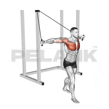 Two Arm Cable Front Raise 6 Resistance Band Alternating Chest Fly