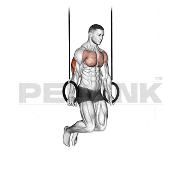 Cable Lateral Raise 6 Ring Dip