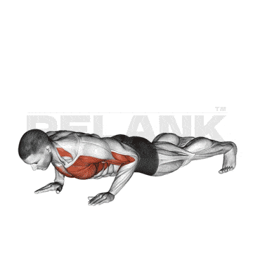 Shoulder Tap Push-Up