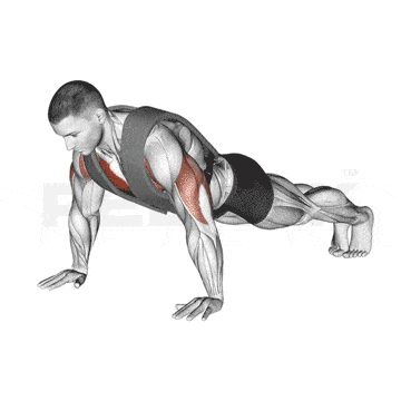 Cobra Push-Up 15 Weighted Vest Push-up