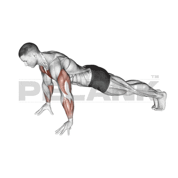 Standing Dumbbell Lateral Raise 9 Finger Push-Up
