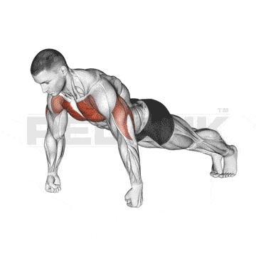 Standing Side Arm Raises No Weight 11 Knuckle Push-Up