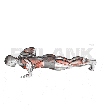 Cable Lateral Raise 10 Modified Hindu Push-up